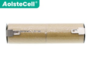 Baterie pro AEG Type46